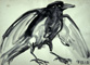 Corbeau